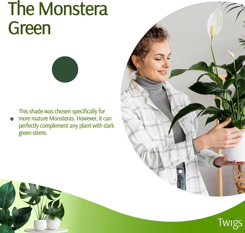 Twigs Ga دعامات دعم النباتات القابلة للتكديس، دعم سيقان النباتات المنزلية والحدائق، ملحقات الحدائق، بديل للشبكات للنباتات المتسلقة والمزروعة - مونستيرا (أخضر داكن)، عبوة 10، 17 بوصة - Image 5